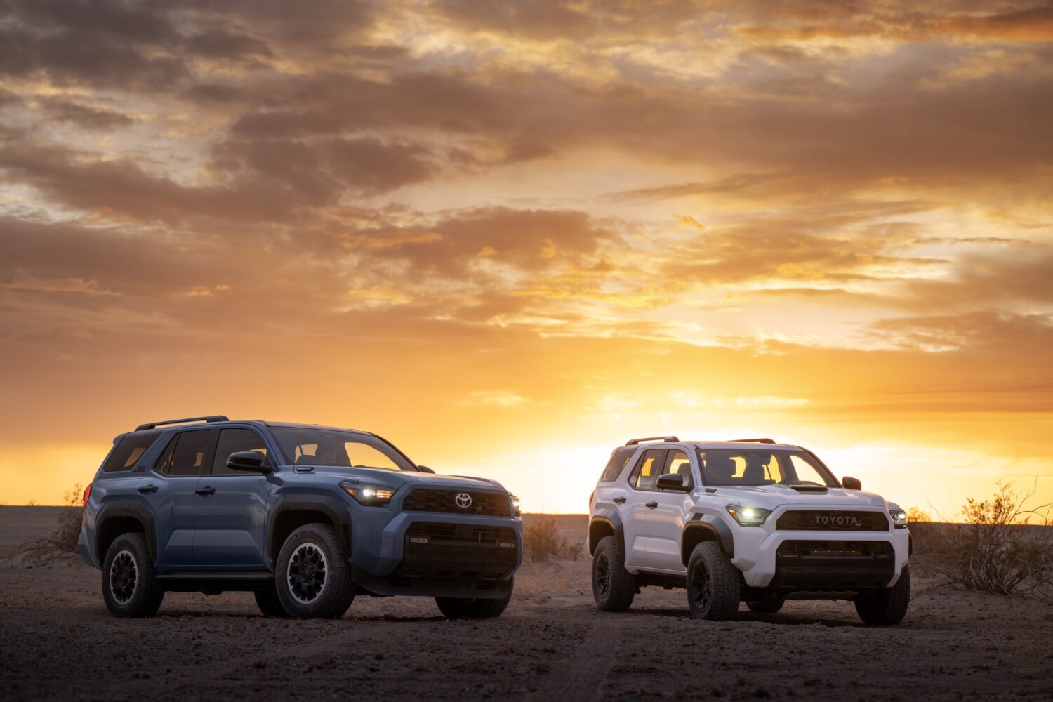 Toyota 4Runner 6th Gen 2025-Present - Goose Gear