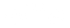 5th Gen. 2019-Present