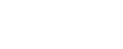 4th Gen. 2009-2018