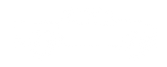 2nd Gen. 2006-2020